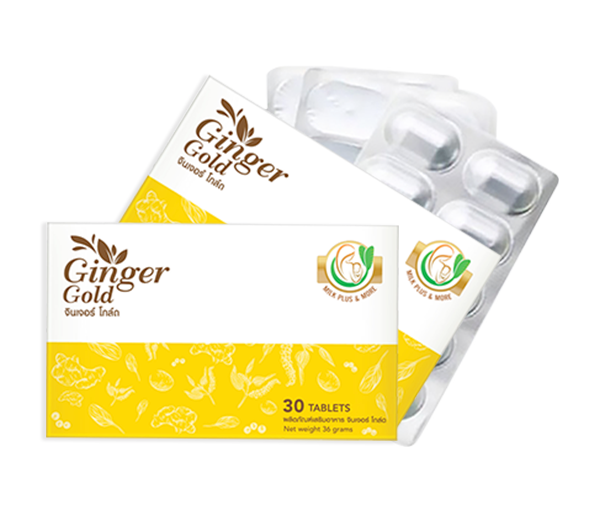 Ginger Gold Milk Plus & More